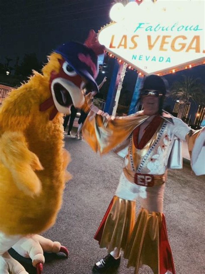 Exploring the Mystique of Vegas.wtf: A Guide to Unconventional Adventures