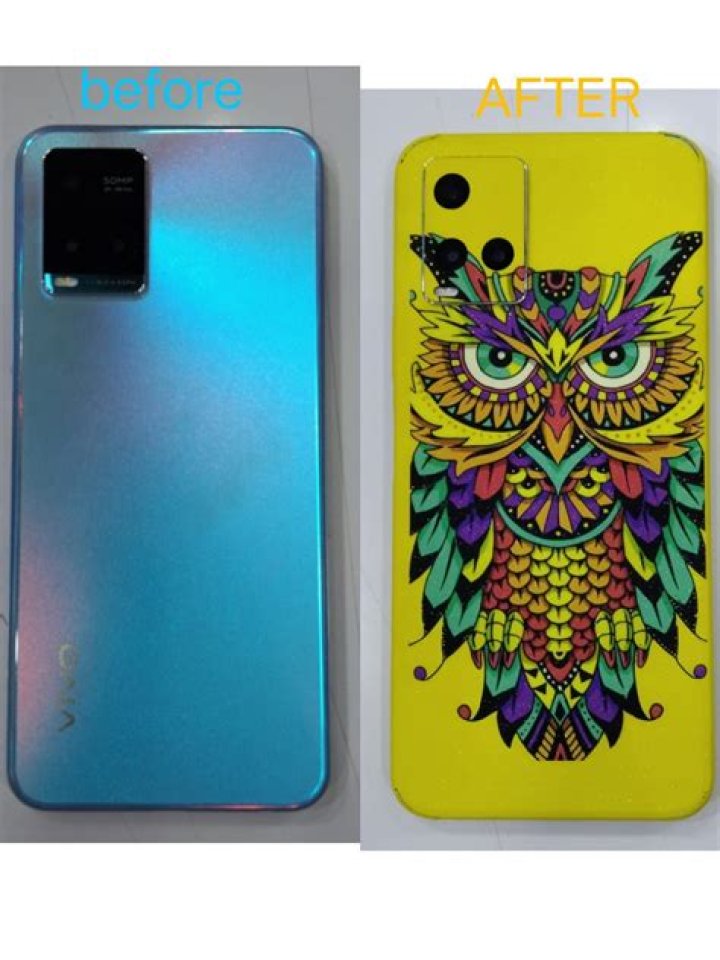 Discover the Ultimate Vegomovies Experience