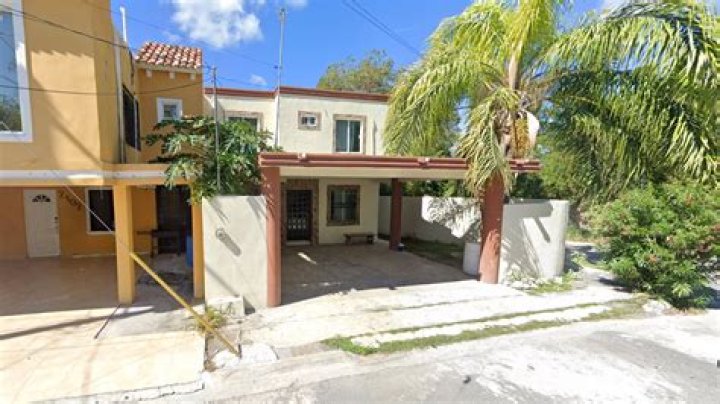 Discovering the World of Vigas NL: A Unique Perspective