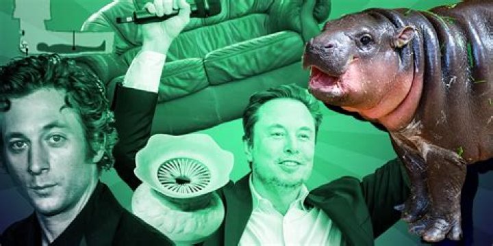 The Rise of Viral Trends: Understanding Their Impact on Society