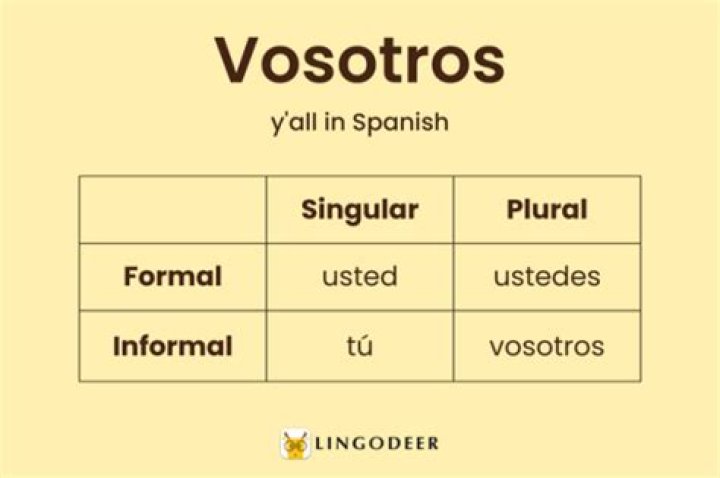 Unveiling the Fascinating World of Vosotros Meaning