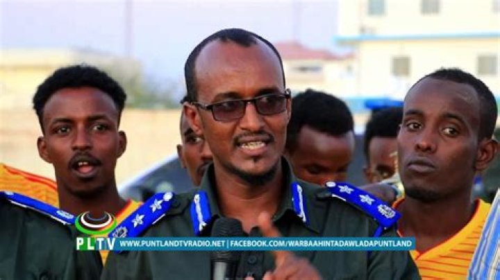 Wasmo Somali Latest: The Ultimate Guide to the Latest Trends and Buzz