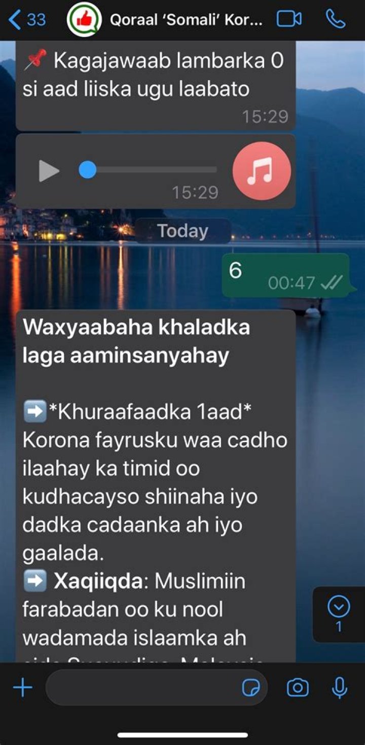 Wasmo Somali Link WhatsApp: Your Ultimate Guide to Connecting with the Somali Community