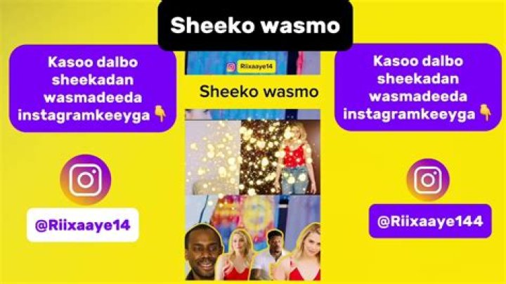 Wasmo Somali Sheeko: The Rising Star of Somali Music
