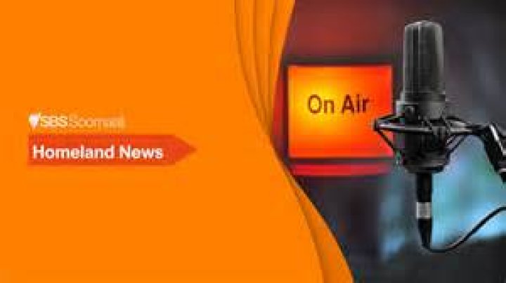 Wasmo Somali Telegram 2025: Your Ultimate Guide to Trending Updates and Insights