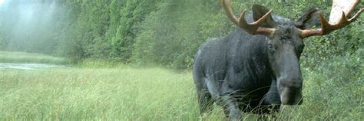 Wasmo Somali Telegram Cusub: Your Ultimate Guide to the Trending Phenomenon