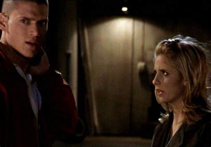 Uncovering Wentworth Miller's Connection to Buffy the Vampire Slayer