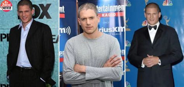 Wentworth Miller Spouse 2024: A Glimpse Into His Personal Life