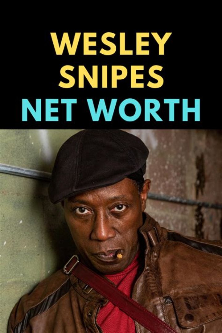 Wesley Snipes' Massive Fortune in 1995: Unveiled
