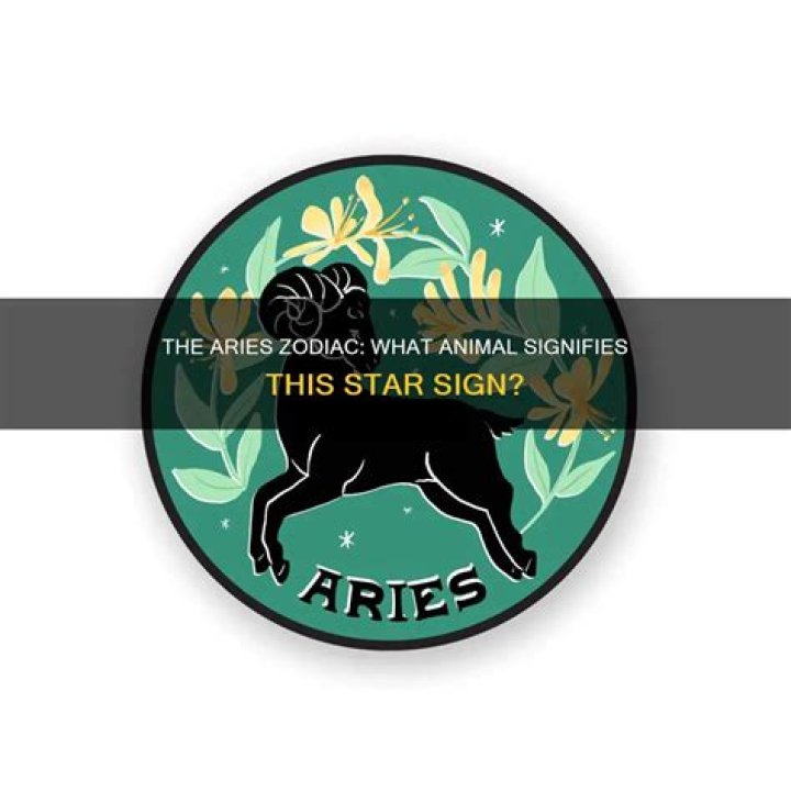 Discovering the Animal Symbol of the Aries Zodiac Sign