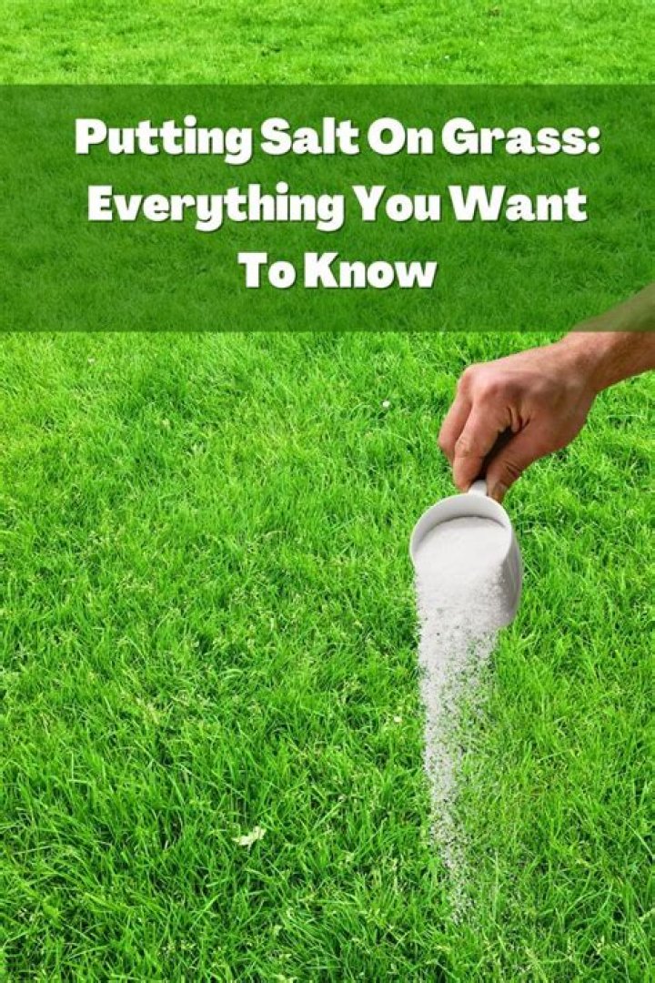 What Does Putting Salt Under Your Tongue Do for You? Unlocking the Benefits and Science