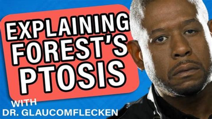 The Recent News and Updates about Forest Whitaker