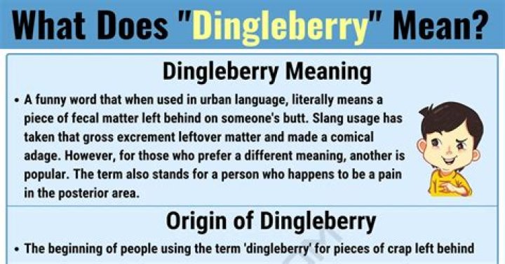 What is a Dingleberry? A Comprehensive Guide to Understanding This Peculiar Term
