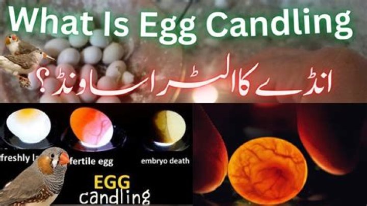 What is Candling: An In-Depth Guide to This Ancient Practice