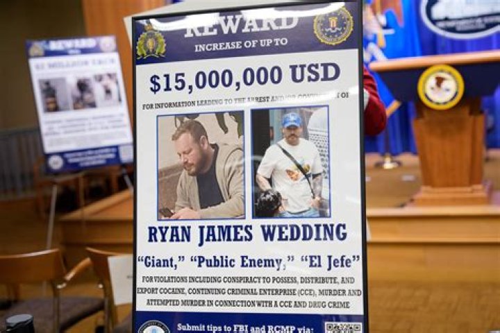 Ultimate Guide: Ryan's Net Worth Unveiled