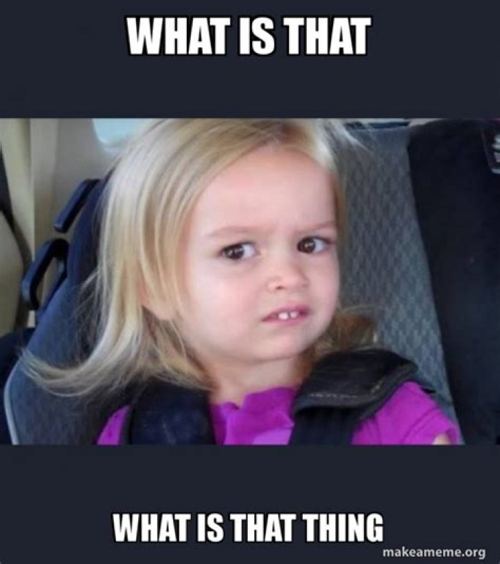 What is That Meme? Understanding the Phenomenon of Internet Humor