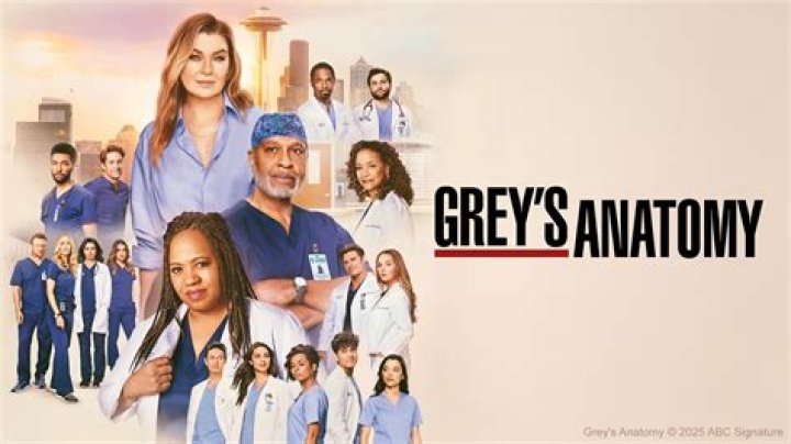 When is Season 20 of Grey's Anatomy Coming Out on Net?