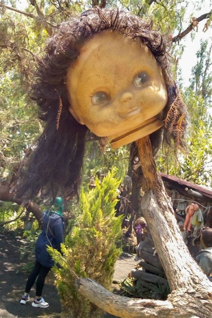 Where to Tell Your Story About Your SA Experience