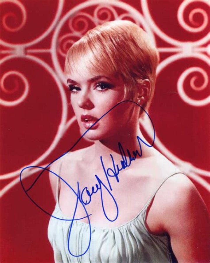 Uncovering Joey Heatherton's Current Marital Status