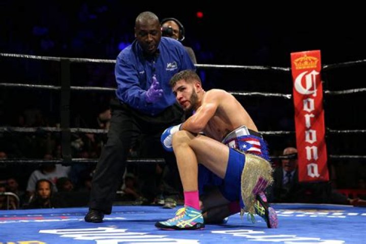 Who Is Prichard Colon's Sister? Unveiling the Life, Career, and Family Connections