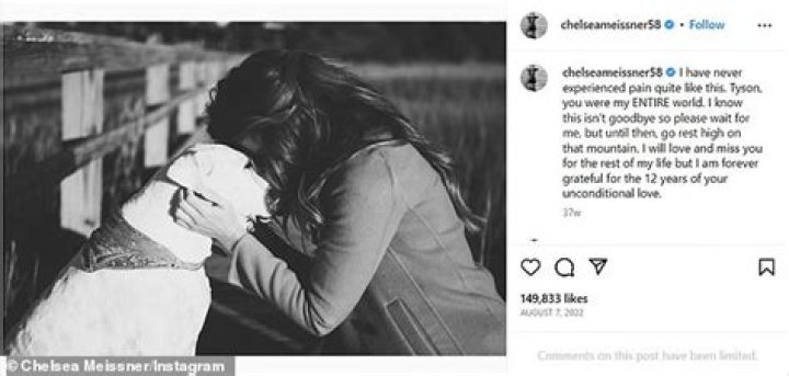 Who Is the Father of Chelsea Meissner's Baby? Unveiling the Truth