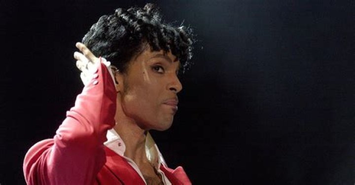 Uncover the Ownership of "Prince Masters"