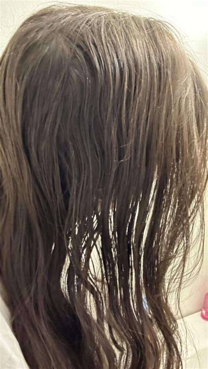 Understanding the Frizz: Why Does My Hair Look So Bad When It's Wet?