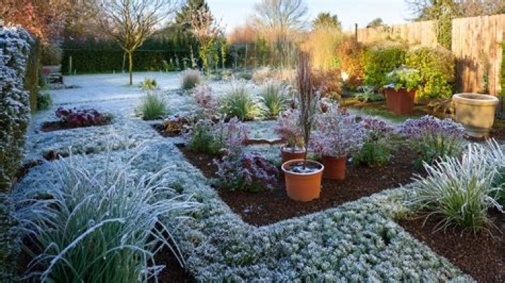 Winter Garden: A Comprehensive Guide to Creating Your Own Oasis