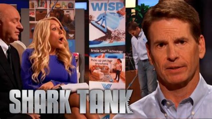 Wisp and Shark Tank: Insights into Net Worth and Success