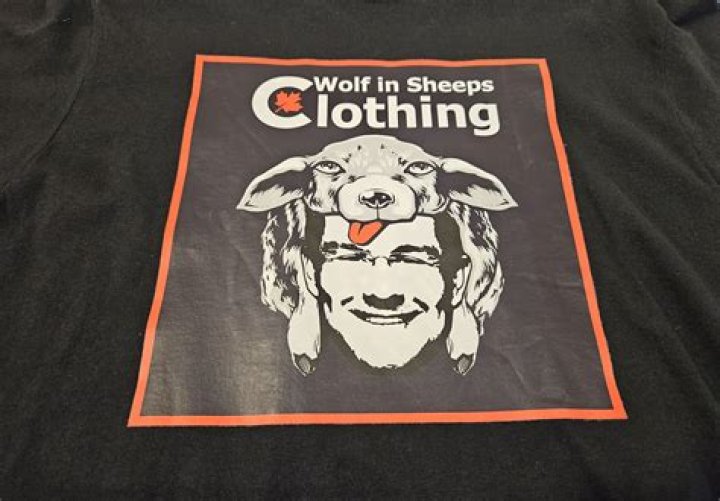 Understanding the Concept of "Wolf in Sheep's Clothing"