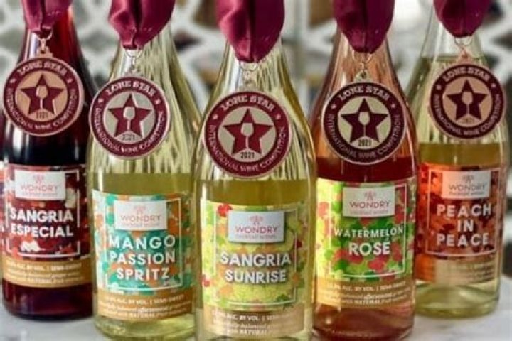 Wondry Cocktail Wines Net Worth: An Insight into the Growing Beverage Industry