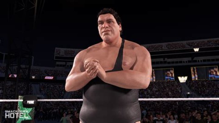 Meet The Giant: The Incredible Story of Andre the Giant in WWE