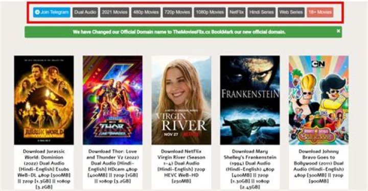 www.themoviesflix.com: Your Ultimate Guide to Movie Streaming and Downloads