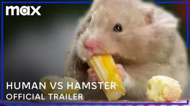 Discover the Fascinating World of X Hamster: A Comprehensive Guide