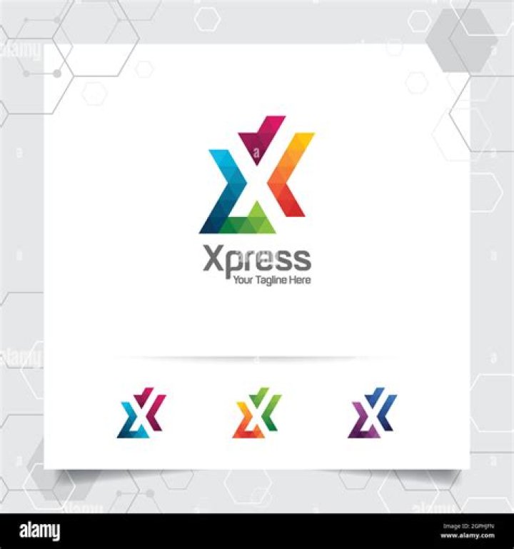 Hamster Care and Ownership: A Comprehensive Guide for Beginners