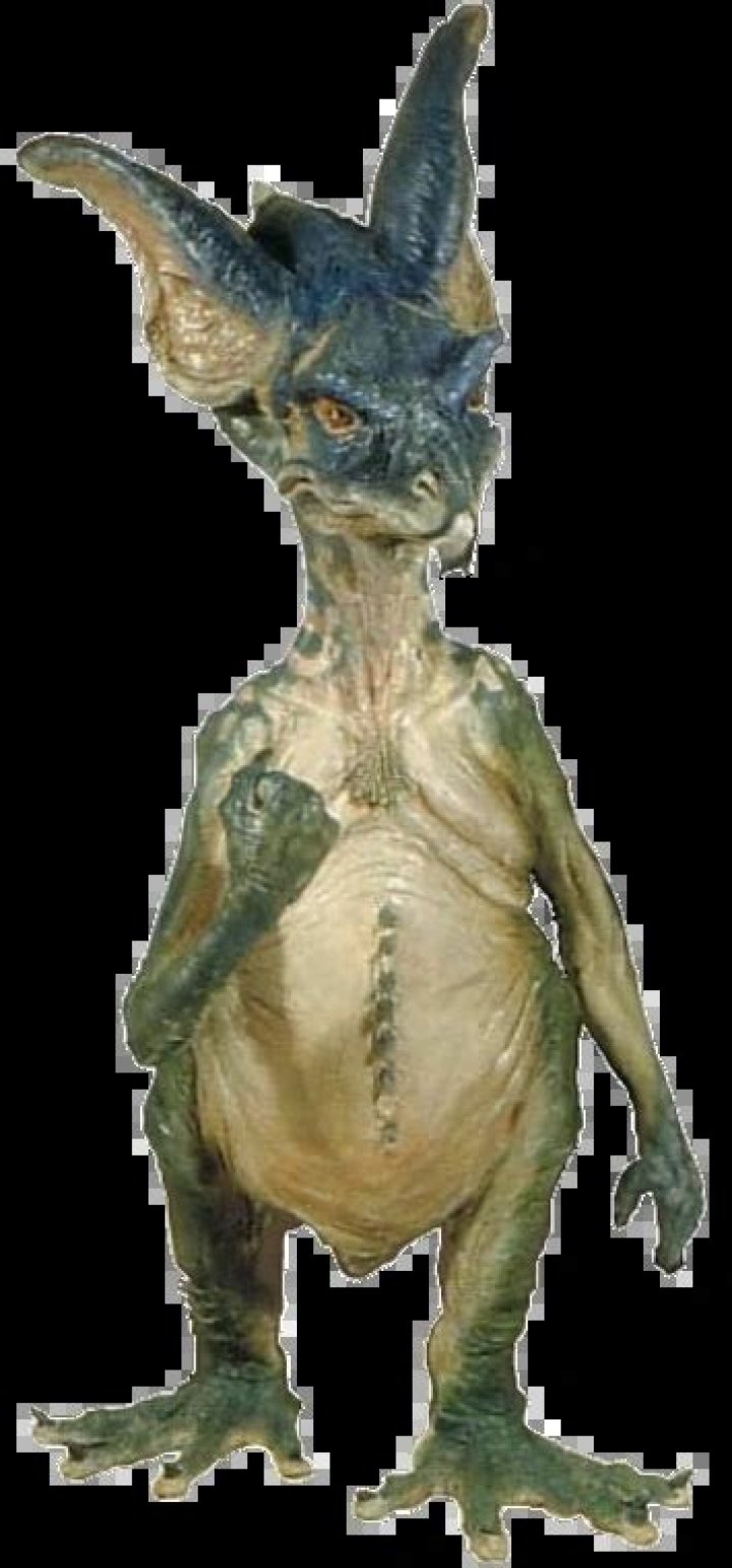 Unleashing the Charm of Xamsters: The Ultimate Guide