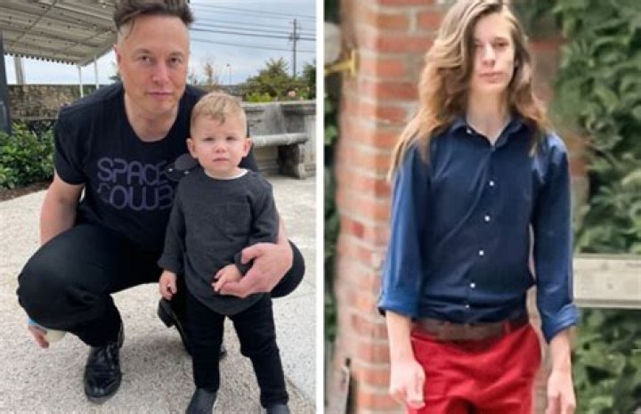 Xavier Musk: The Rising Star in the Musk Family
