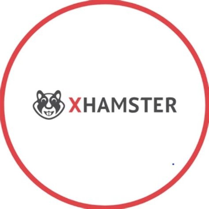 Xhmester: The Rising Star in the Digital World