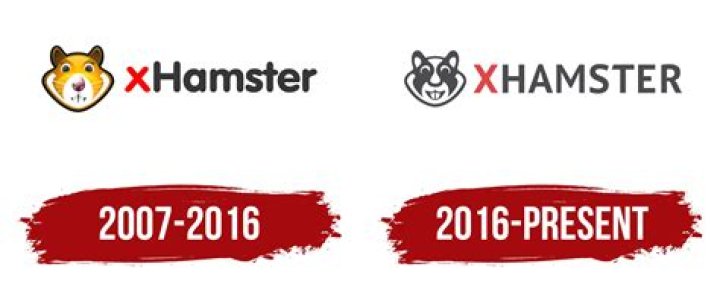 Unveiling the XHMSTR Phenomenon: A Comprehensive Guide