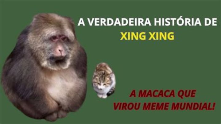 Xing Xing Memes: The Rise of a Cultural Phenomenon