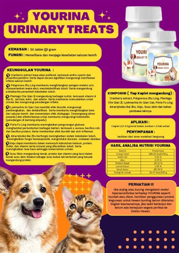 Yourina Videos: Unveiling the Fascinating World of Creativity