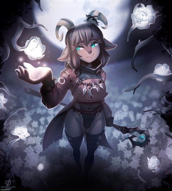 Understanding Yvdeo: The Future of Video Streaming Platforms