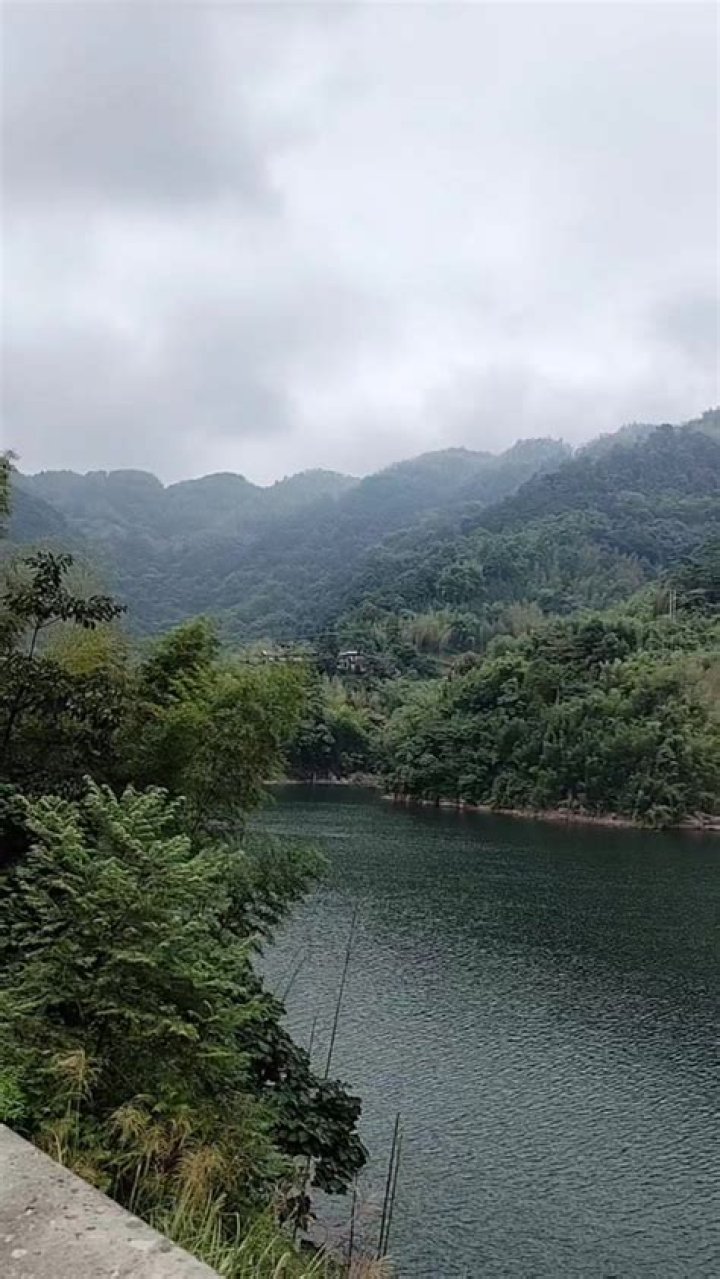 Understanding Yvdio: A Comprehensive Guide