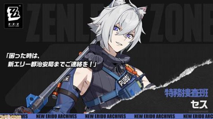 ZZZ Police: The Guardians of Public Safety and Security